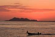 Peter Shinyeda Photography (9)